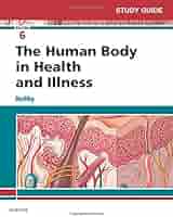 値下げ❗️The Human Body in Health and Illness The Human Body in Health and Illness: 9780323498449